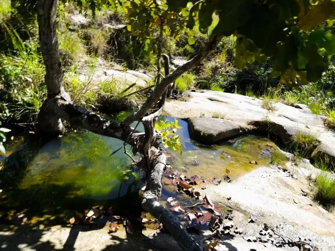 Chácara com 30,87 Hectares beira asfalto 85 kms de Goiânia