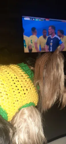 Roupinha pet em crochê da copa