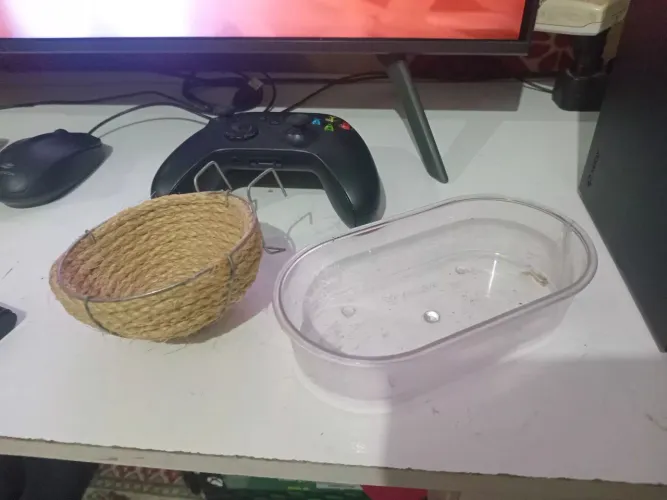 Ninho e banheira pra passarinho