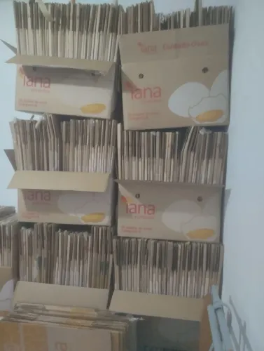 Caixas vazias *77