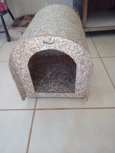 Vendo casinha para cachorro tamanho pequeno número 2