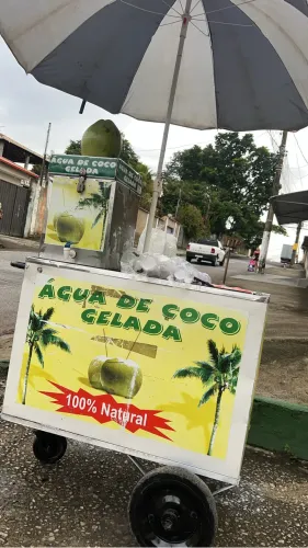 Carrinho água de coco 