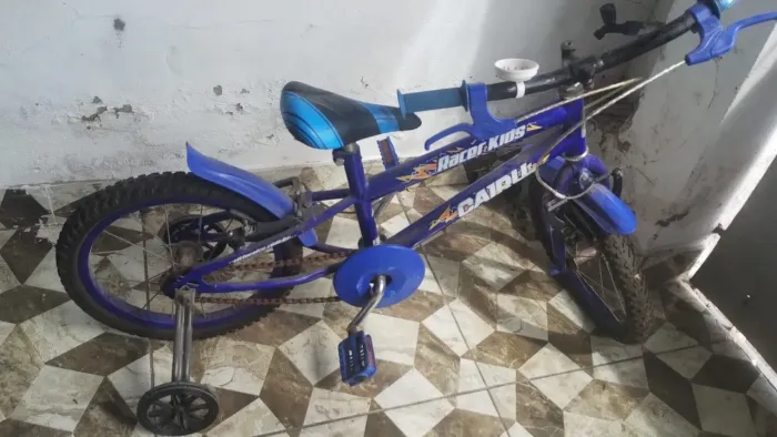 Bicicleta 