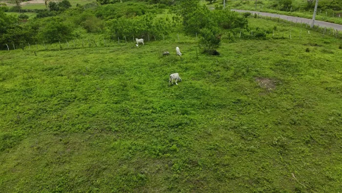 granja com 16 hectares na região de Monte Alegre  cortada pelo rio trairi excelente locali