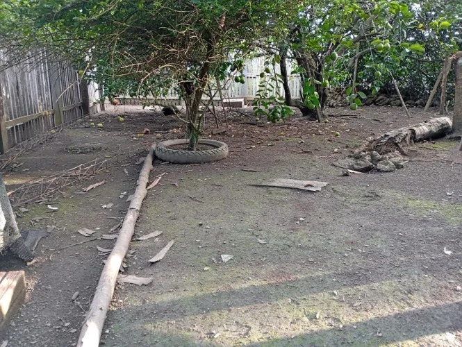 VENDO TERRENO BEM LOCALIZADO EM BELTERRA 