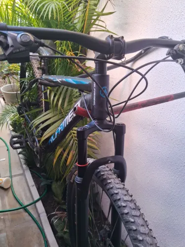 Bicicleta Revisada