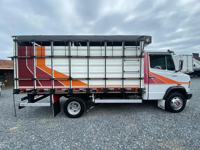 Caminhão gaiola Mercedes para haras e fazenda NOVO DEMAIS!  