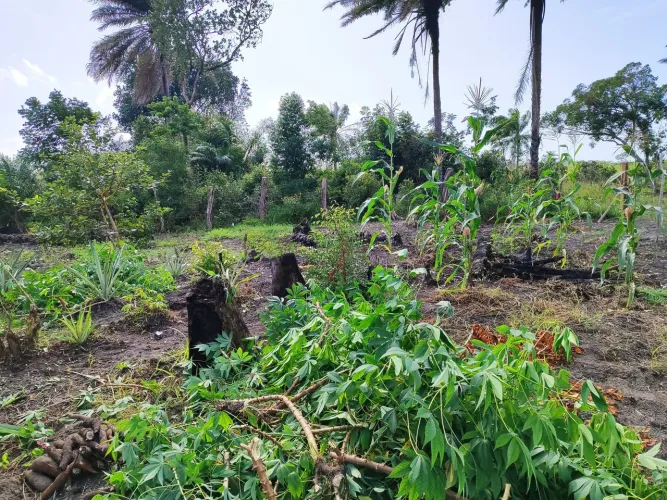 TERRENO EM BARRA DO JACUIPE 