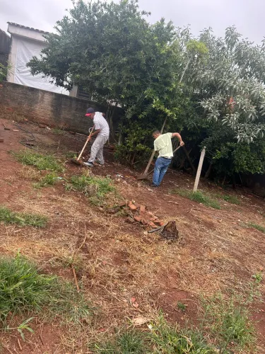 Retiramos pequenos entulhos e limpeza de quintal