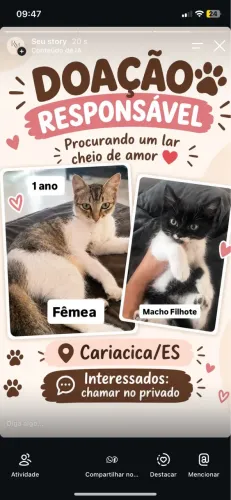 Doação Responsável 