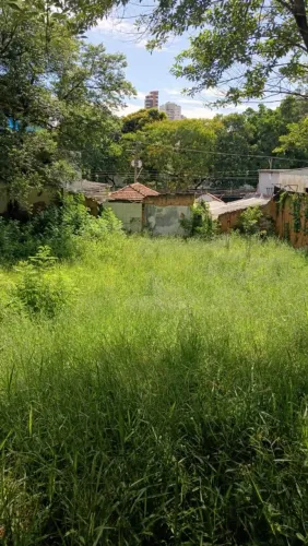 Limpeza de terrenos com Borgert Serviço