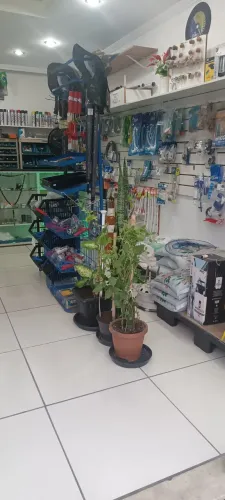 Oportunidade de negócio 