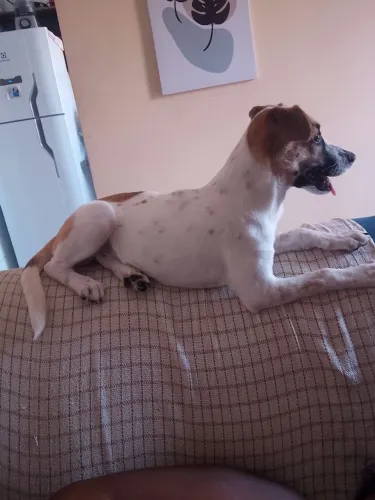 Doação