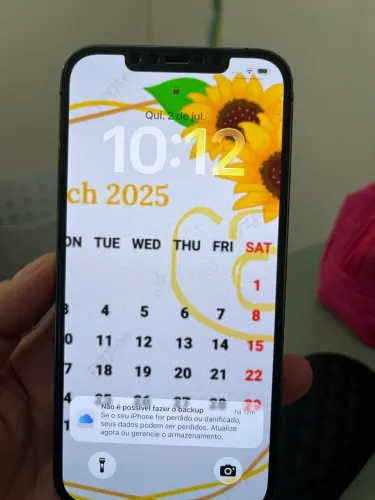 IPHONE PRO MAX 12