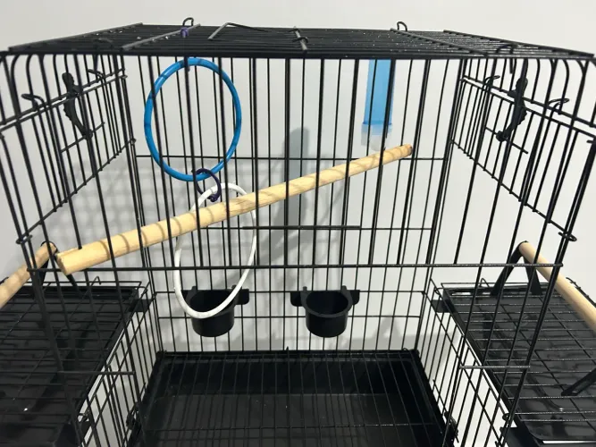 Vendo gaiola para pássaros