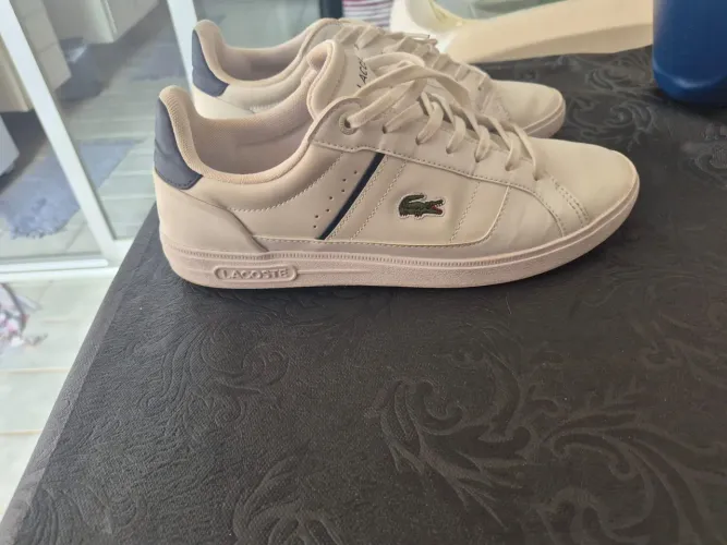 Tênis lacoste masculino