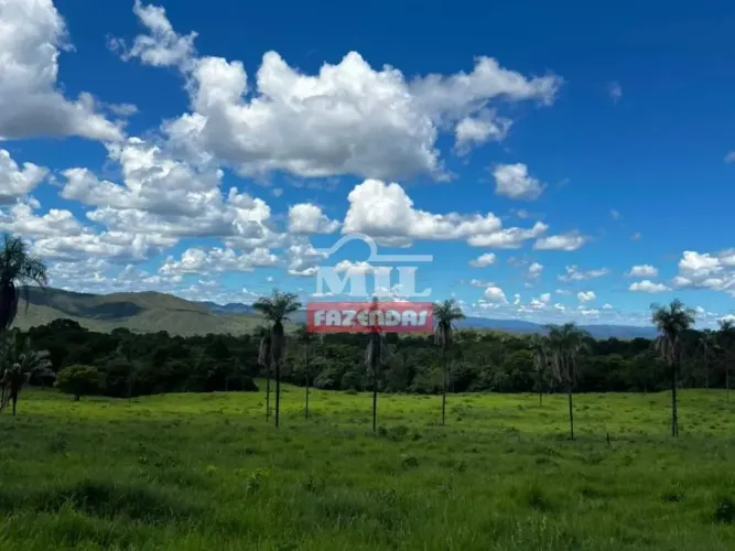 Fazenda 50 Alqueires (242 hectares) Minaçu - GO