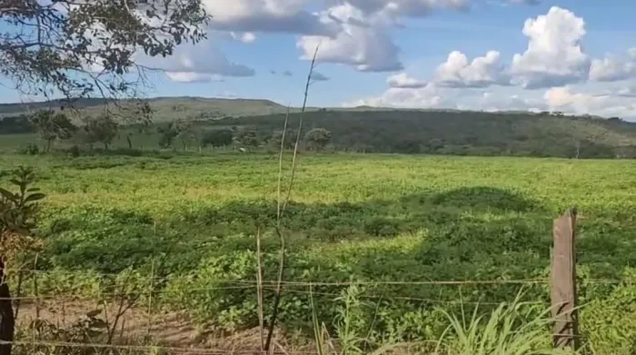 Terreno