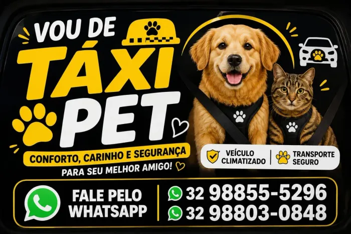 Táxi Cão em Juiz de Fora - Transporte Pet São Pedro e Região