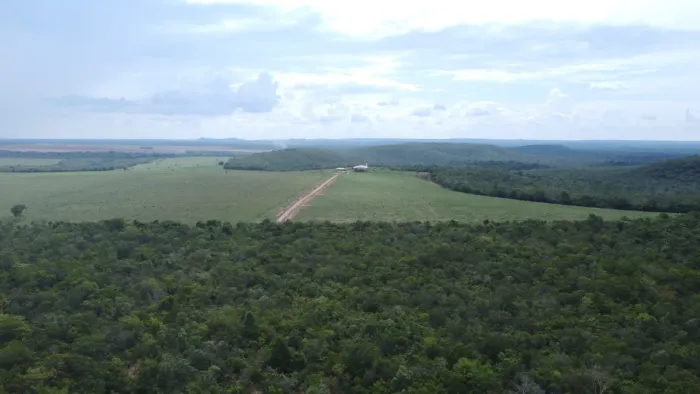 Fazenda 1.480 hect em.paranatinga Mt. 1.000 abertos  20 milhões.