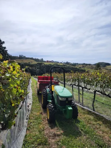 Fazenda Vinicola Sítio