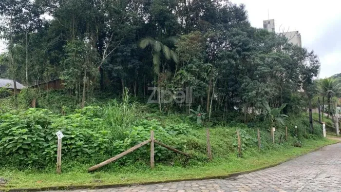 TERRENO no COSTA E SILVA com 0 quartos para VENDA, 1200 m²