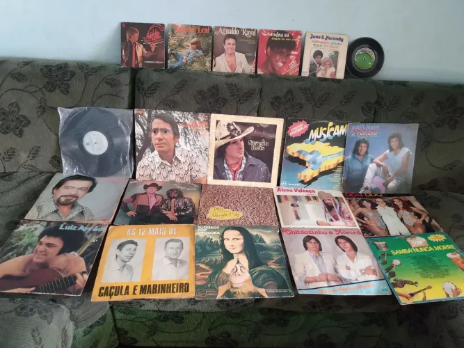 Coleção de Discos de Vinil - Diversos Gêneros