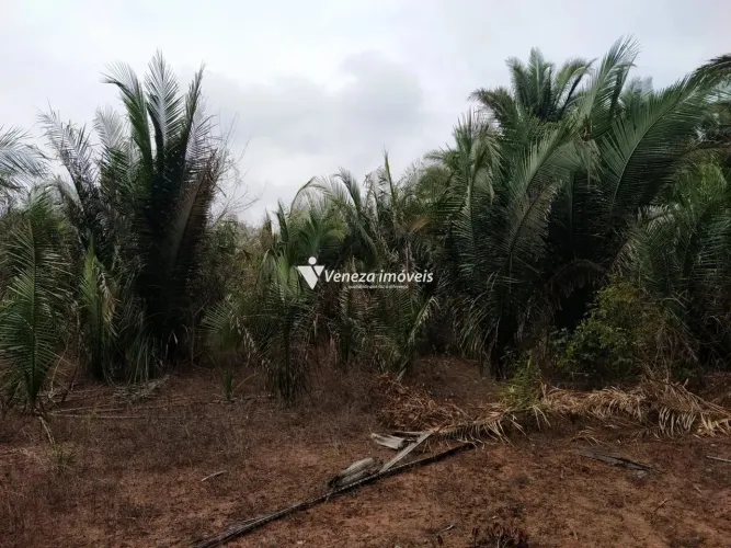 Lotes no Povoado Caiçara para Venda