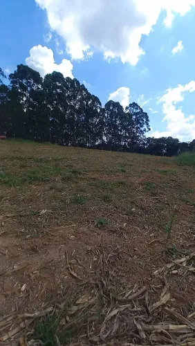 Terreno em piedade dos gerais!