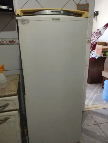 Geladeira Frost Free consul