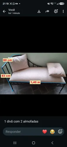 Vendo lindo sofá/Divã/espreguiçadeira de ferro e estofada, linda e em excelente estado