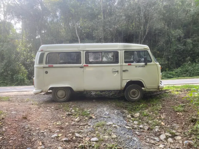 Volkswagen Kombi Standard 1.4 MI Total Flex 8V 2010