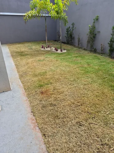 Jardinagem em ibipora e londrina 