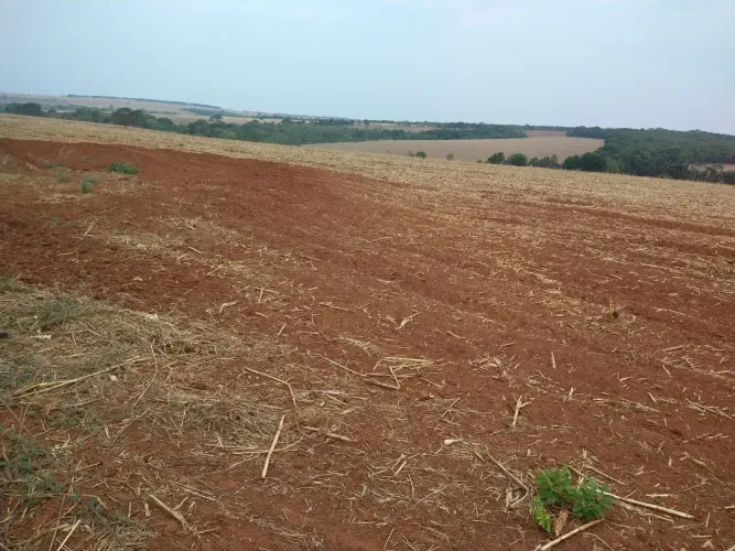 Fazenda a venda em Ipameri - Goiás!!!