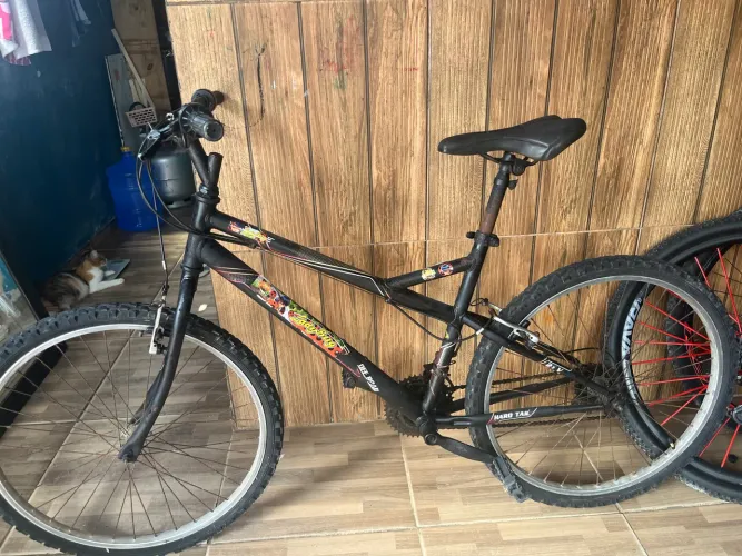 Bicicleta