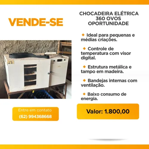Chocadeira 360 ovos 
