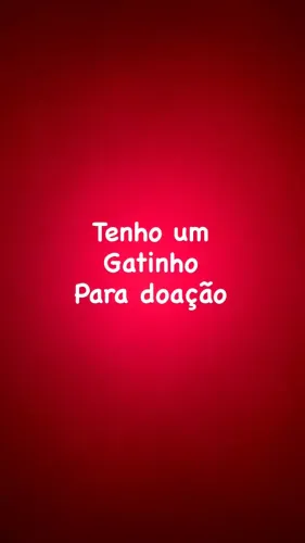 Gatinho