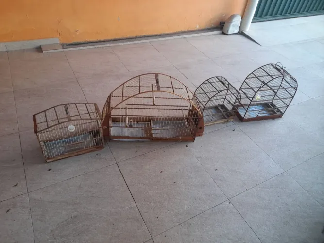 Quatro gaiolas por r$ 30