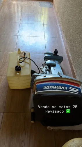Revisado 
