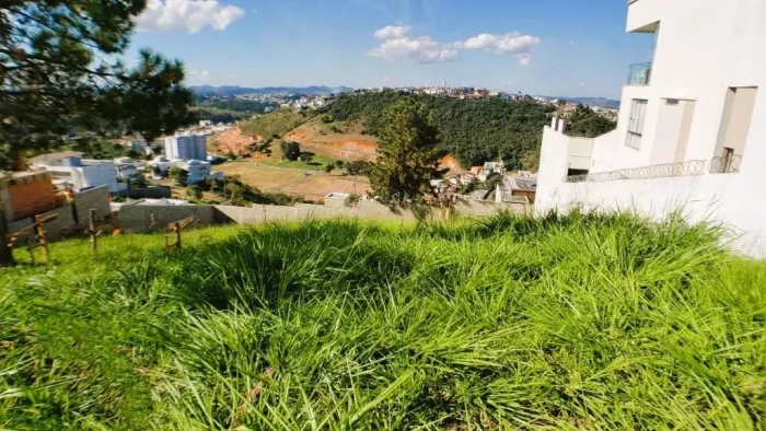 Terreno à venda, 525 m² por R$ 350.000,00 - Spinaville - Juiz de Fora/MG
