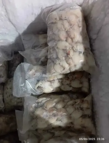 Pata de carangueijo