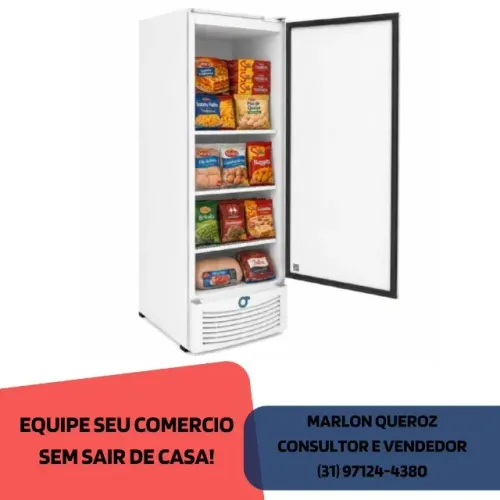 Freezer Vertical Porta Cega 560L Fricon Novo
