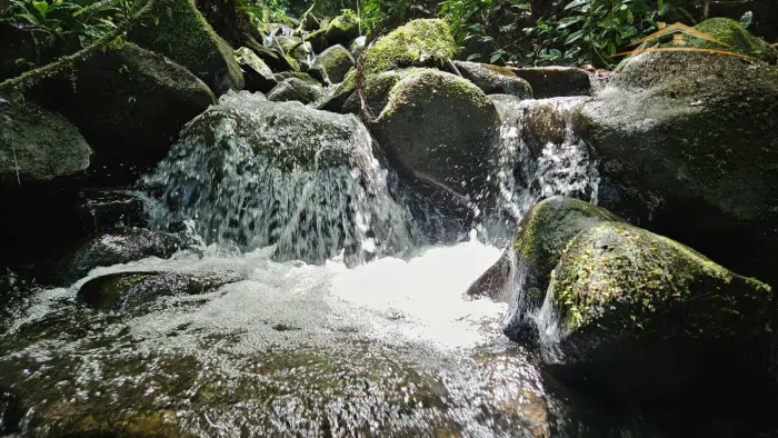 Chácara com rio à venda por R$ 750.000 - São João da Graciosa - Morretes/PR