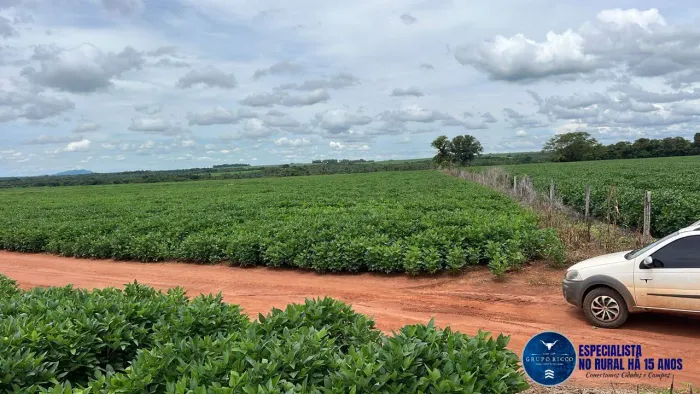 Fazenda à Venda 49 Alqueires entre Piranhas e Bom Jardim GO
