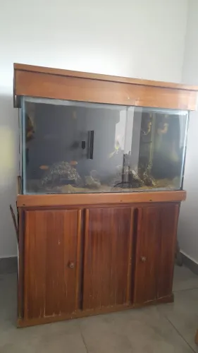 Aquário completo