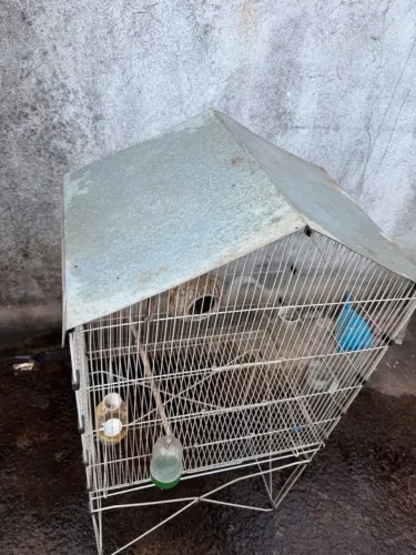 Gaiola Viveiro Calopsita E periquito