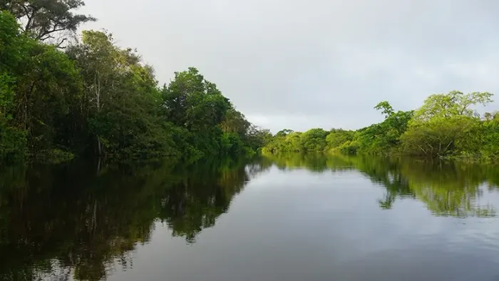 Chácaras Rústicas a 30 minutos de Manaus, oportunidade única