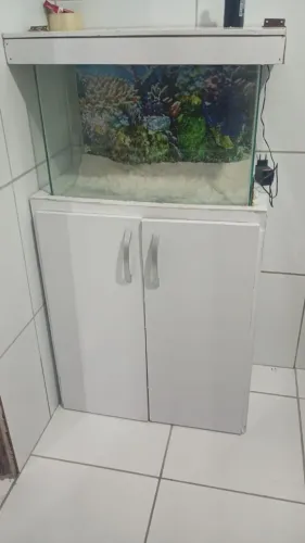 Aquario
