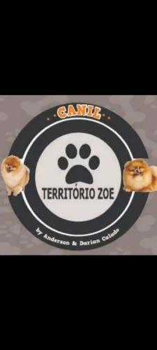 Hotel para cães