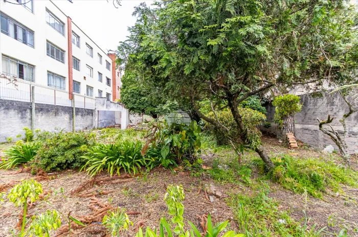 Vendas Terreno Curitiba PR
